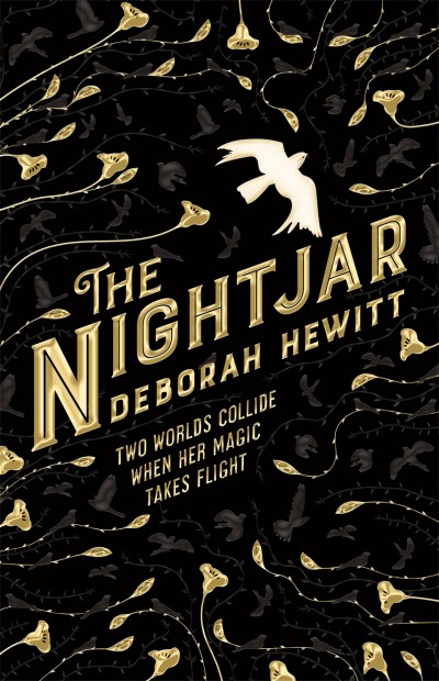 The Nightjar Deborah Hewitt