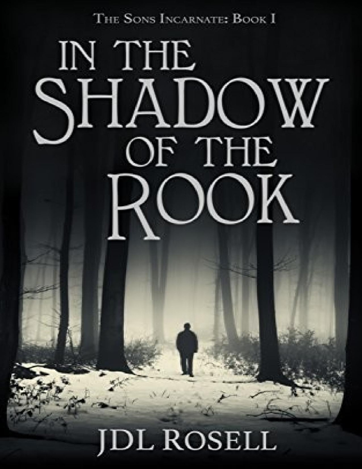 Sons Incarnate 1 In The Shadow Of The Rook J D L Rosell