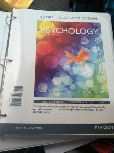 Psychology Second Edition Saundra K Ciccarelli J Noland White