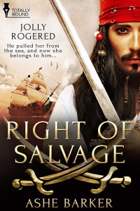 Right Of Salvage Ashe Barker