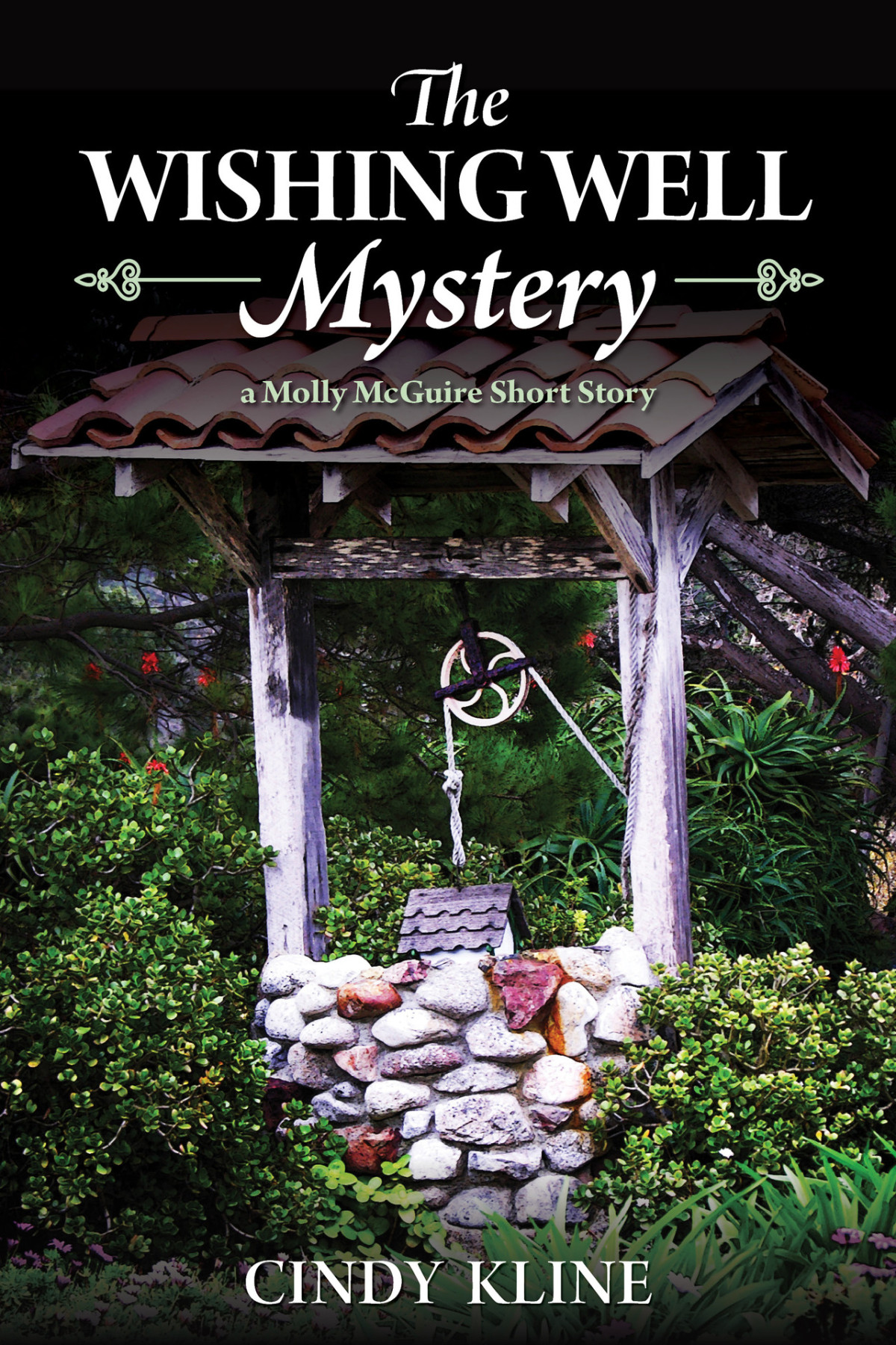 The Wishing Well Mystery Molly Mcguire Mysteries Book 7 Cindy Kline