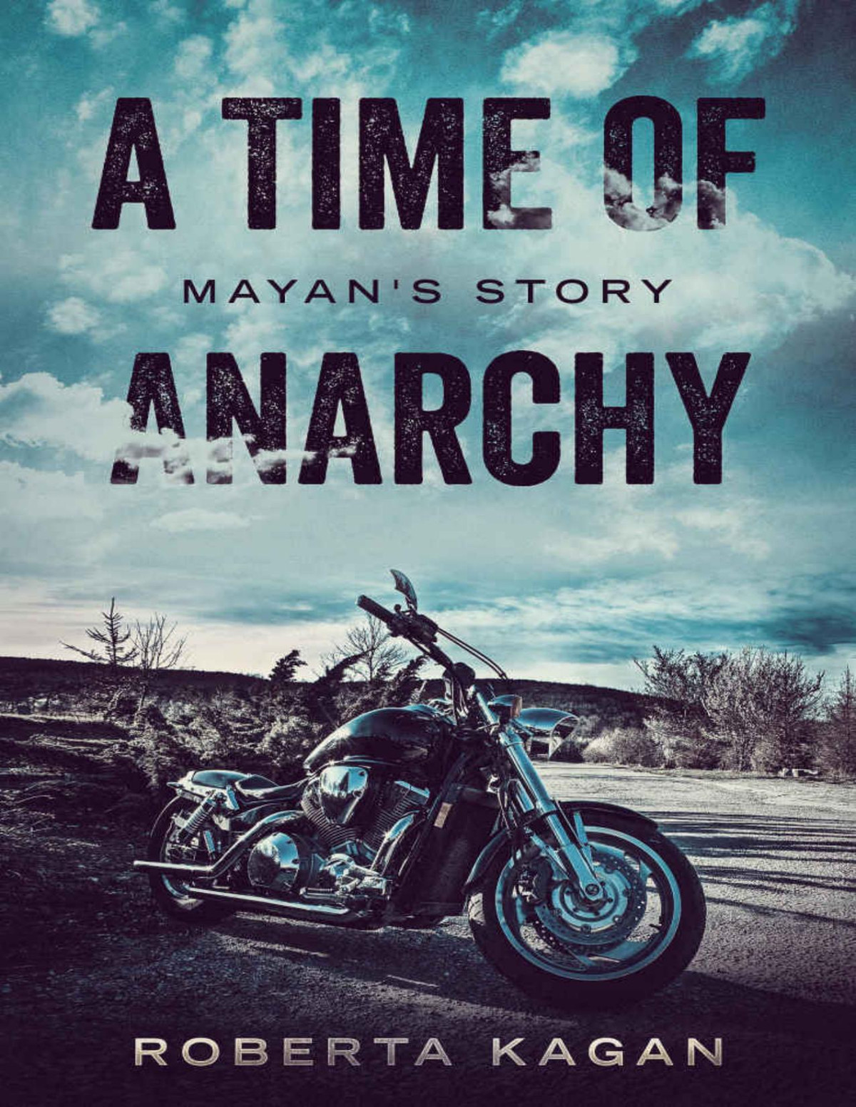 A Time Of Anarchy Mayans Story Roberta Kagan