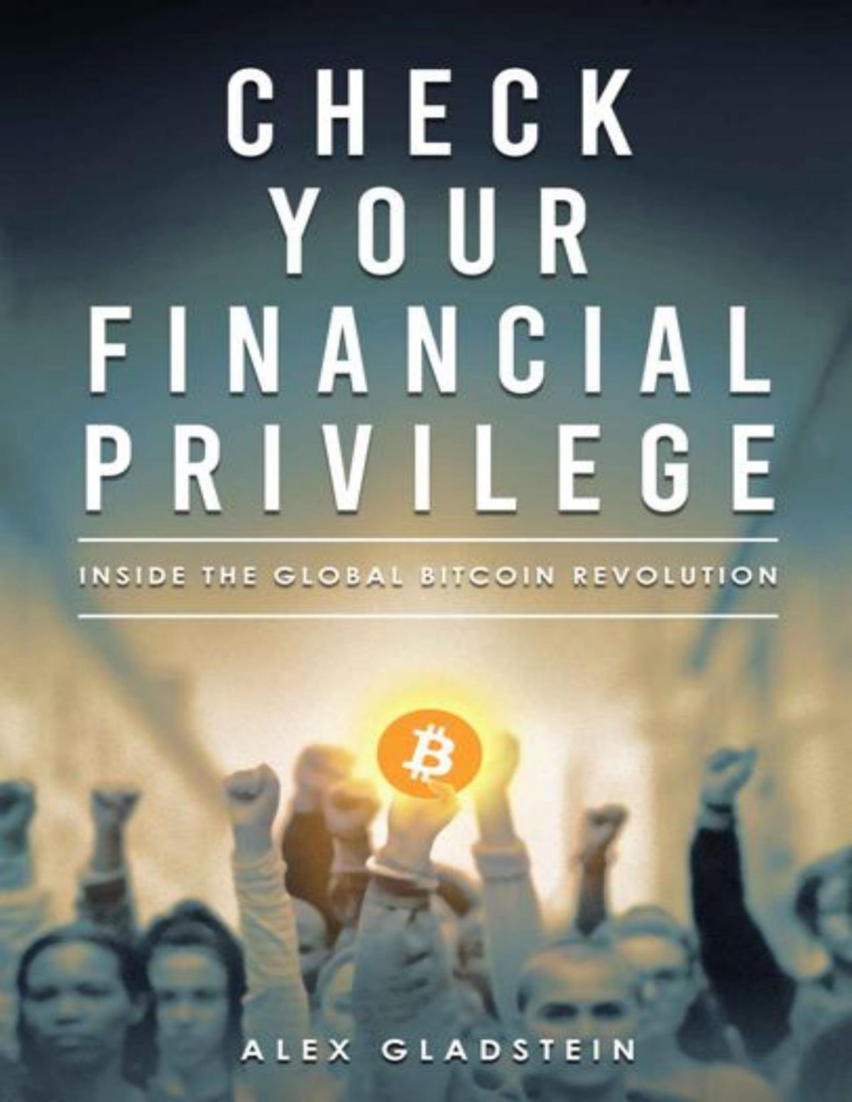 Check Your Financial Privilege Alex Gladstein