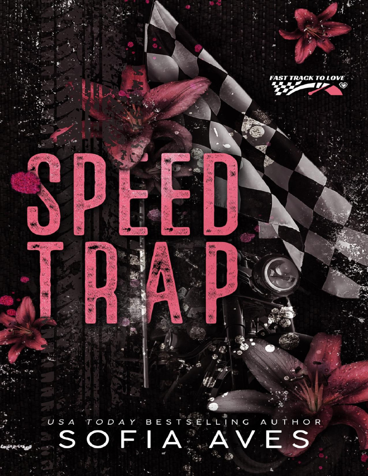 Speed Trap An Enemies To Lovers Racing Romance Sofia Aves