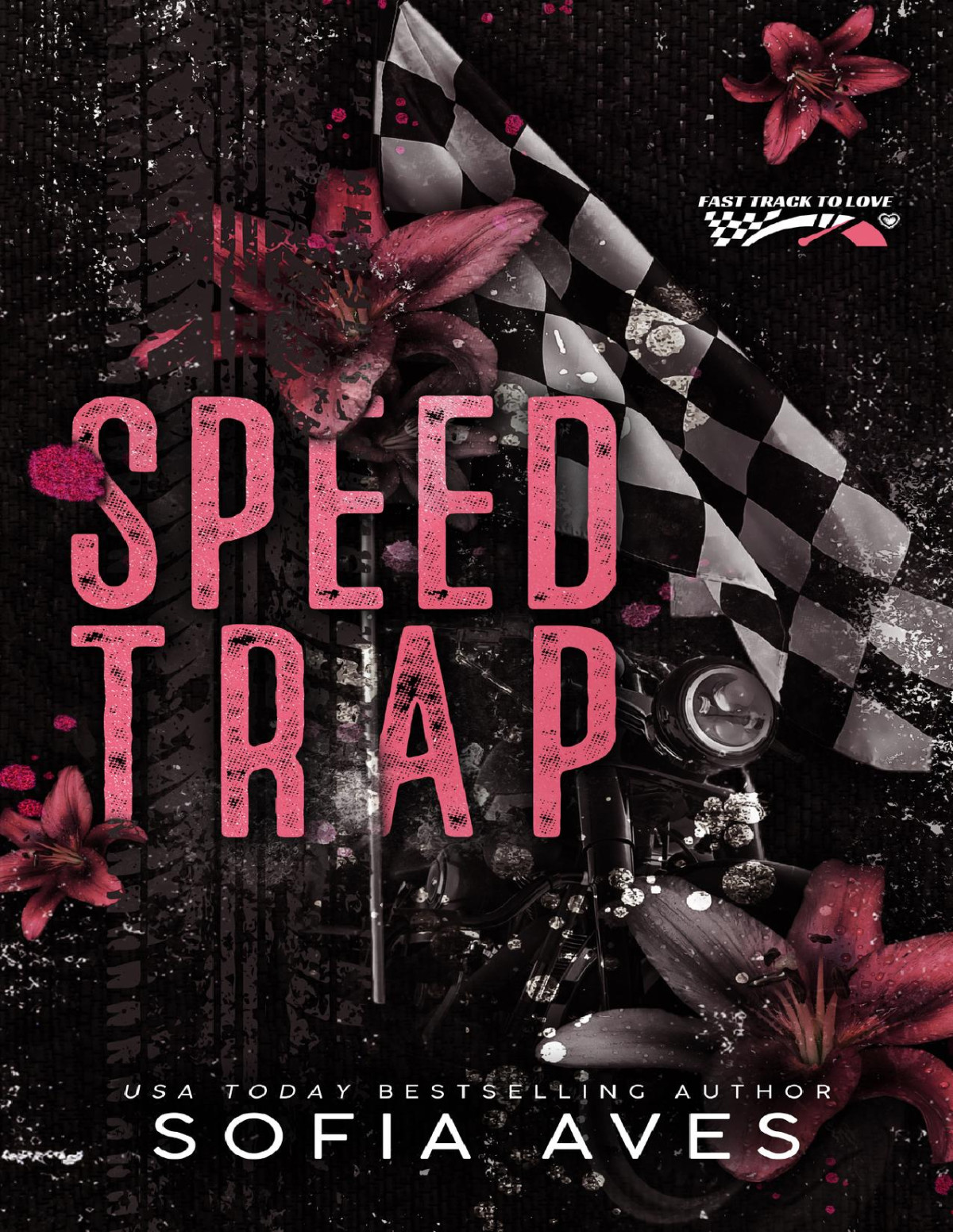 Speed Trap An Enemies To Lovers Racing Romance Sofia Aves