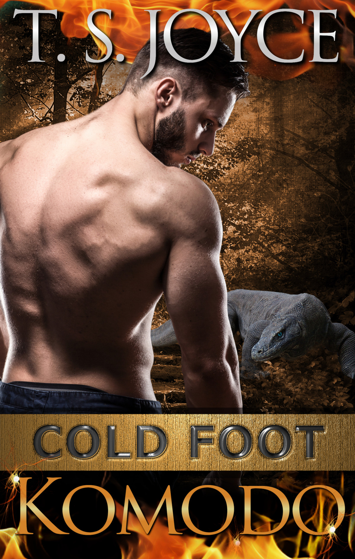 Cold Foot Komodo Wrecks Mountains Book 2 T S Joyce