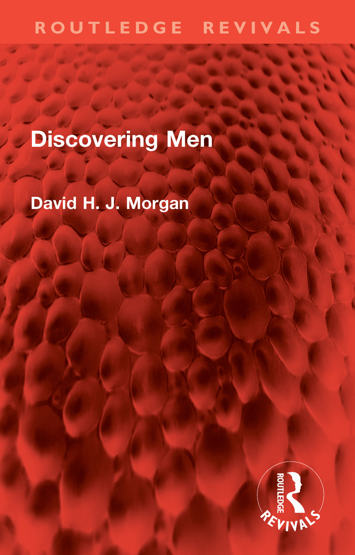 Discovering Men First Edition David H J Morgan