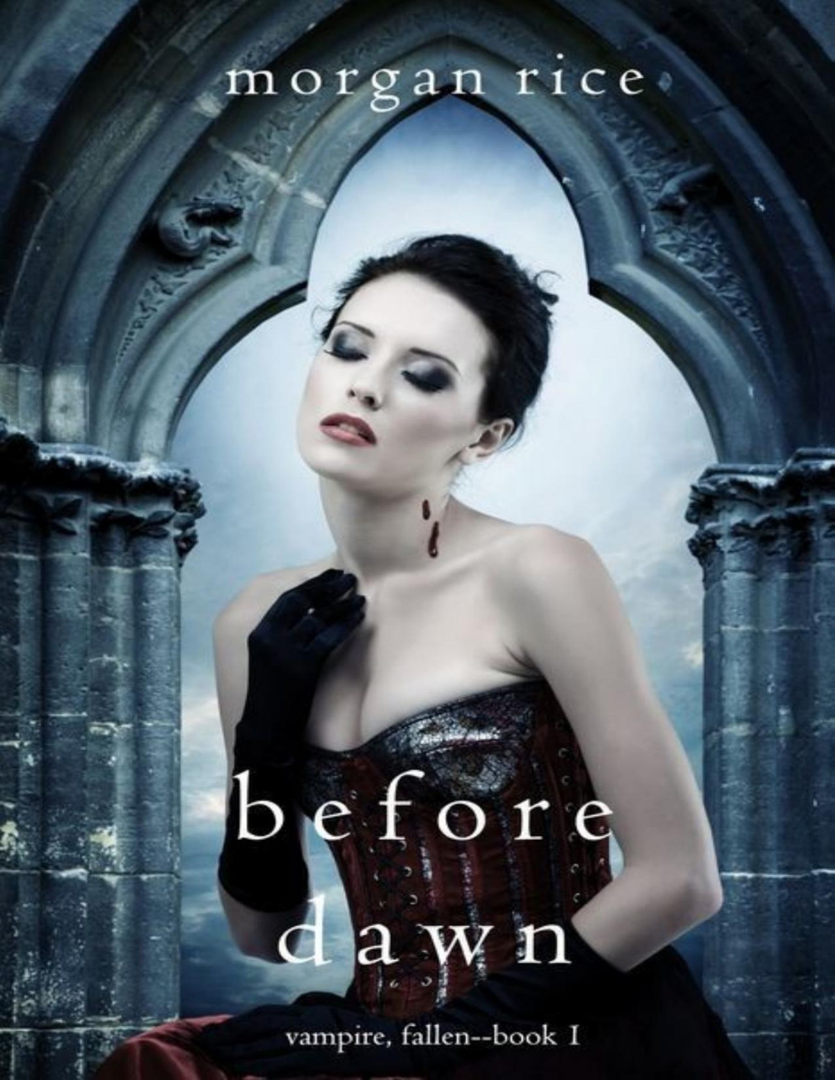 Before Dawn Morgan Rice