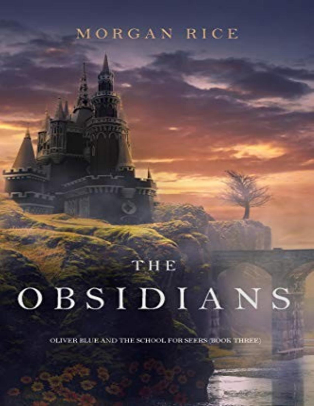 Oliver Blue And The School For Seers 3 The Obsidians Morgan Rice