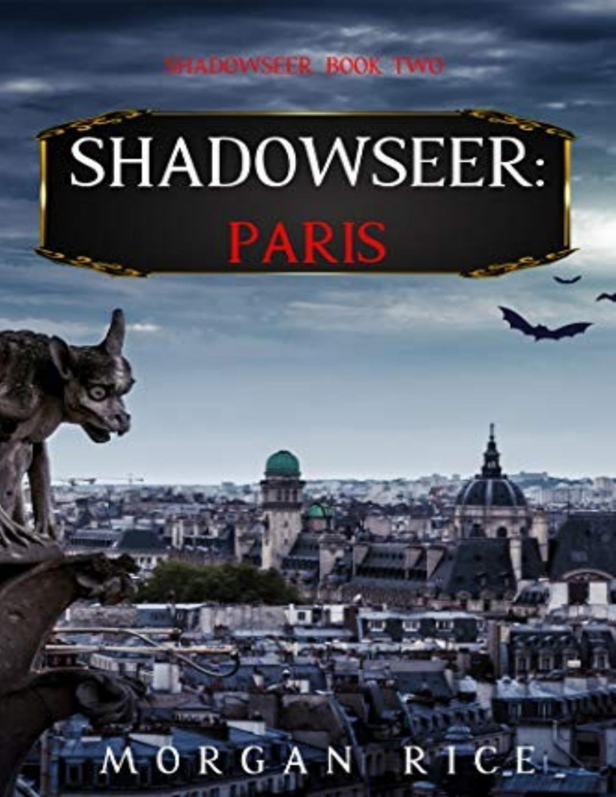 Shadowseer 2 Paris Morgan Rice