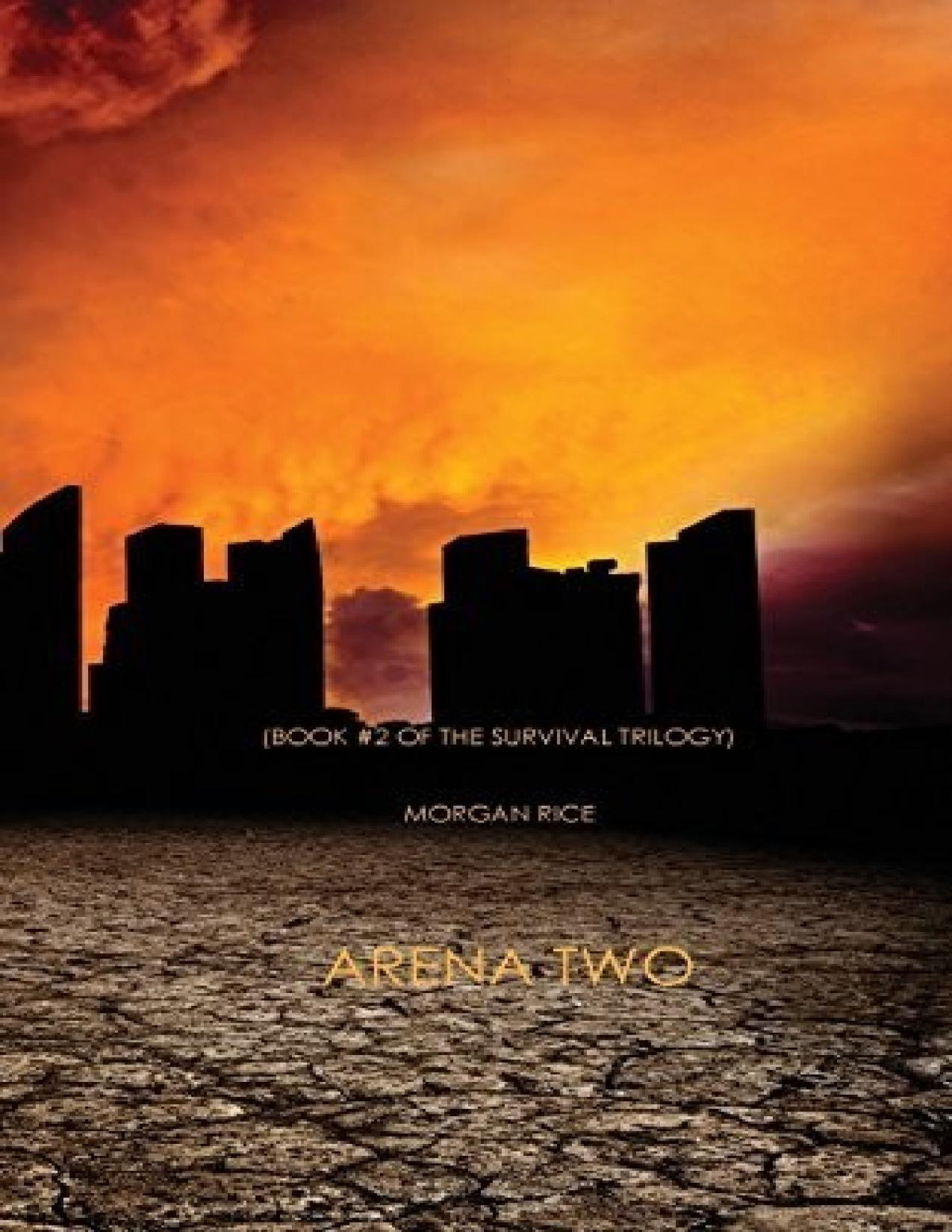 Survival Trilogy 2 Arena Two Morgan Rice
