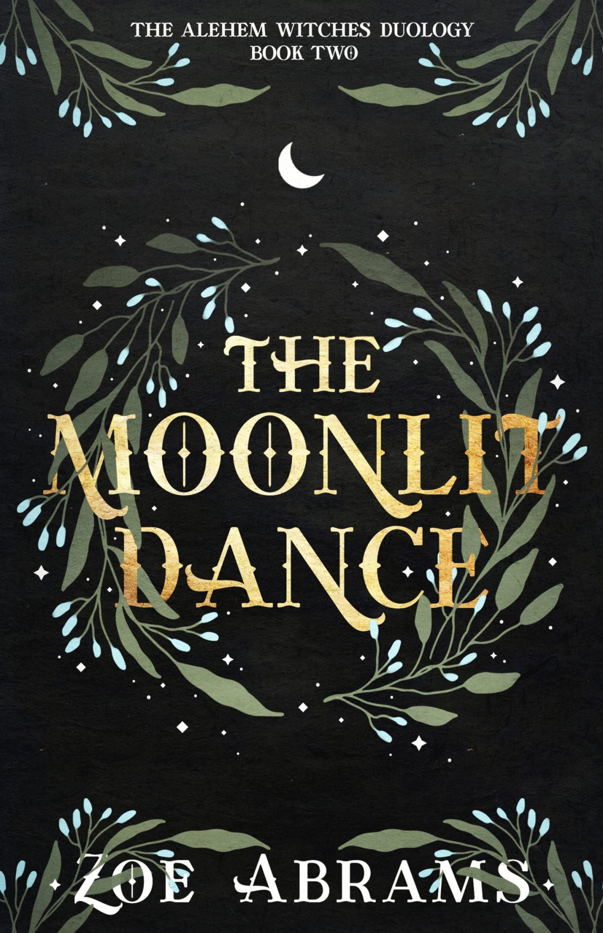 The Moonlit Dance The Alehem Witches Duology Book Two Zoe Abrams