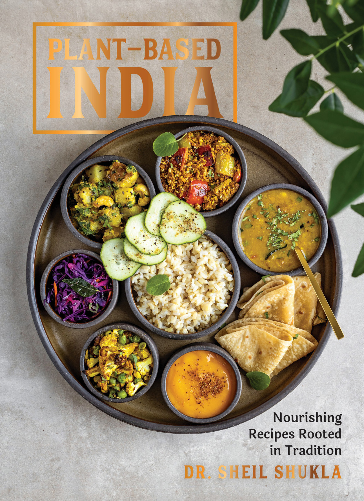 Plantbased India Dr Sheil Shukla