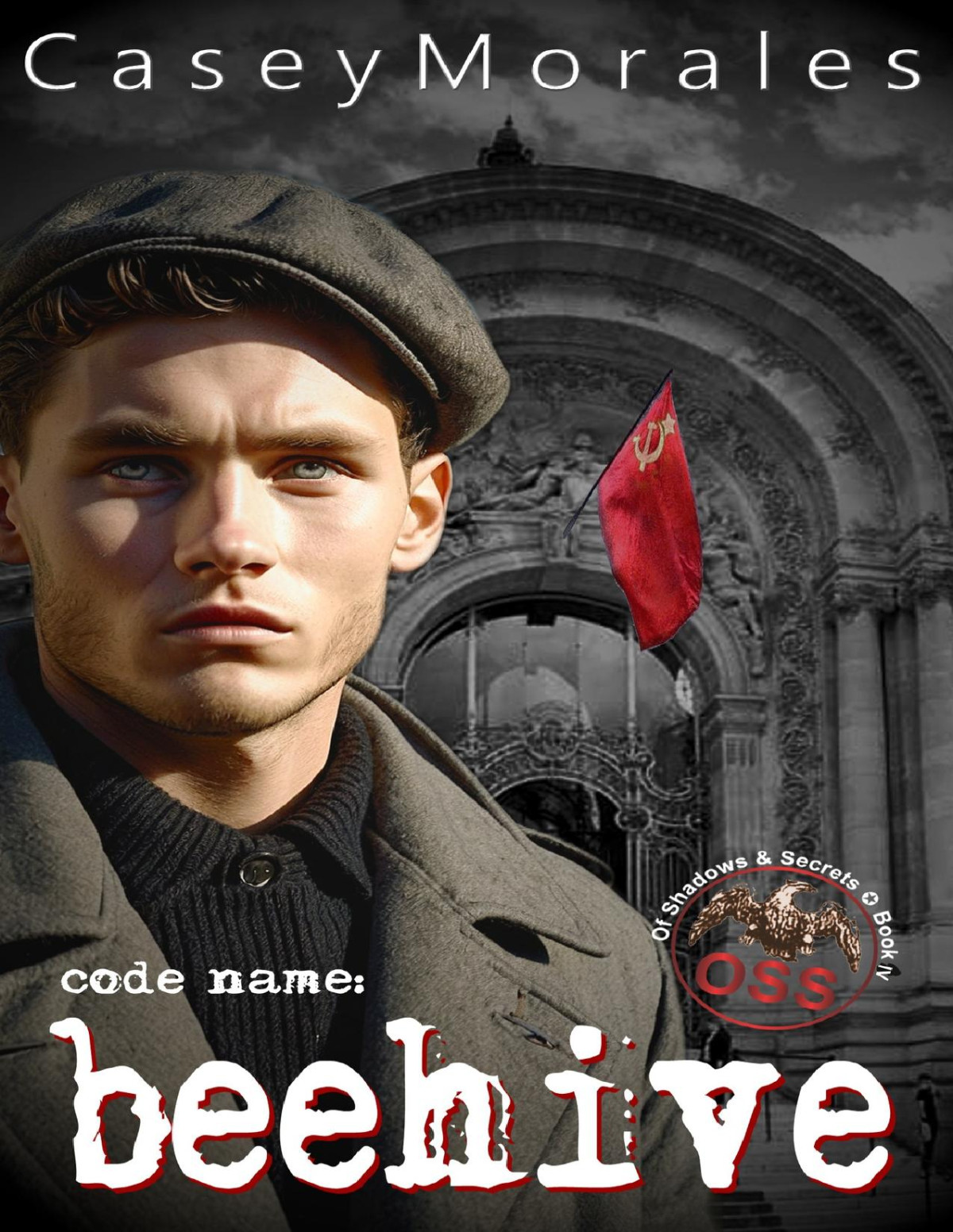 Beehive A Romantic Mm Espionage Thriller Of Shadows Secrets Book 4 Casey Morales