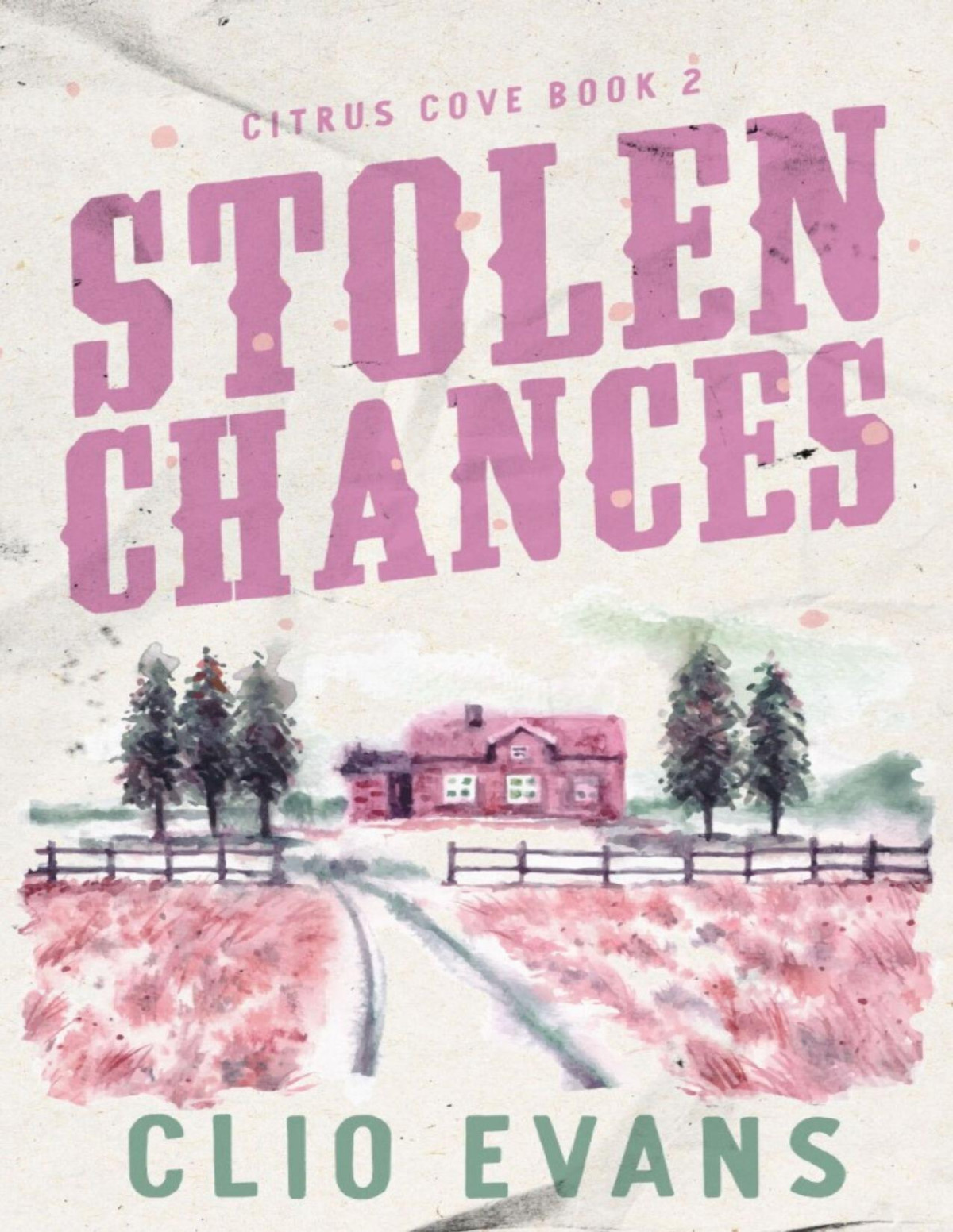 Stolen Chances A Single Mom Mmf Small Town Romance Suspense Citrus Cove Book 2 Clio Evans