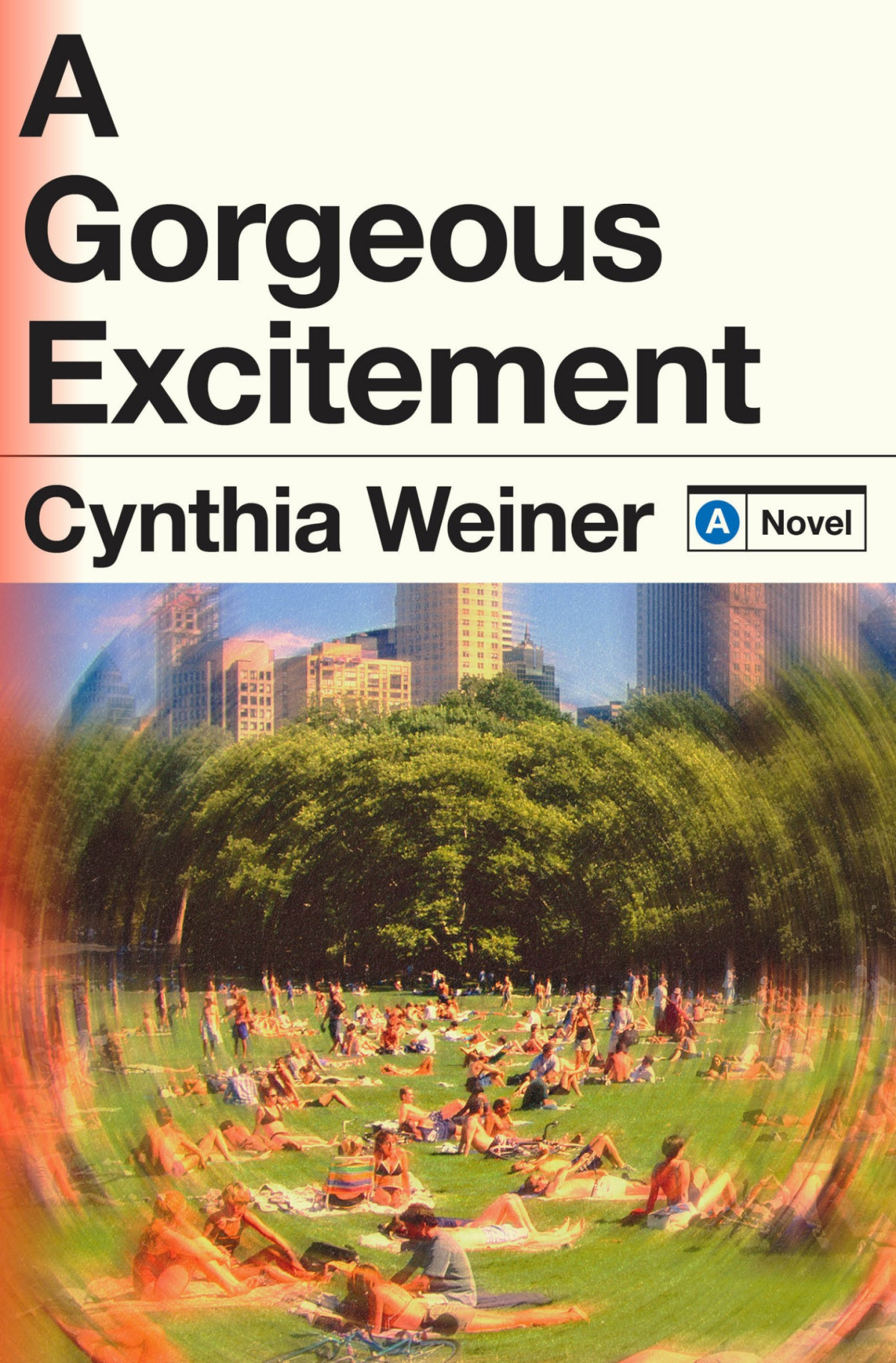 A Gorgeous Excitement 1st Edition Cynthia Weiner