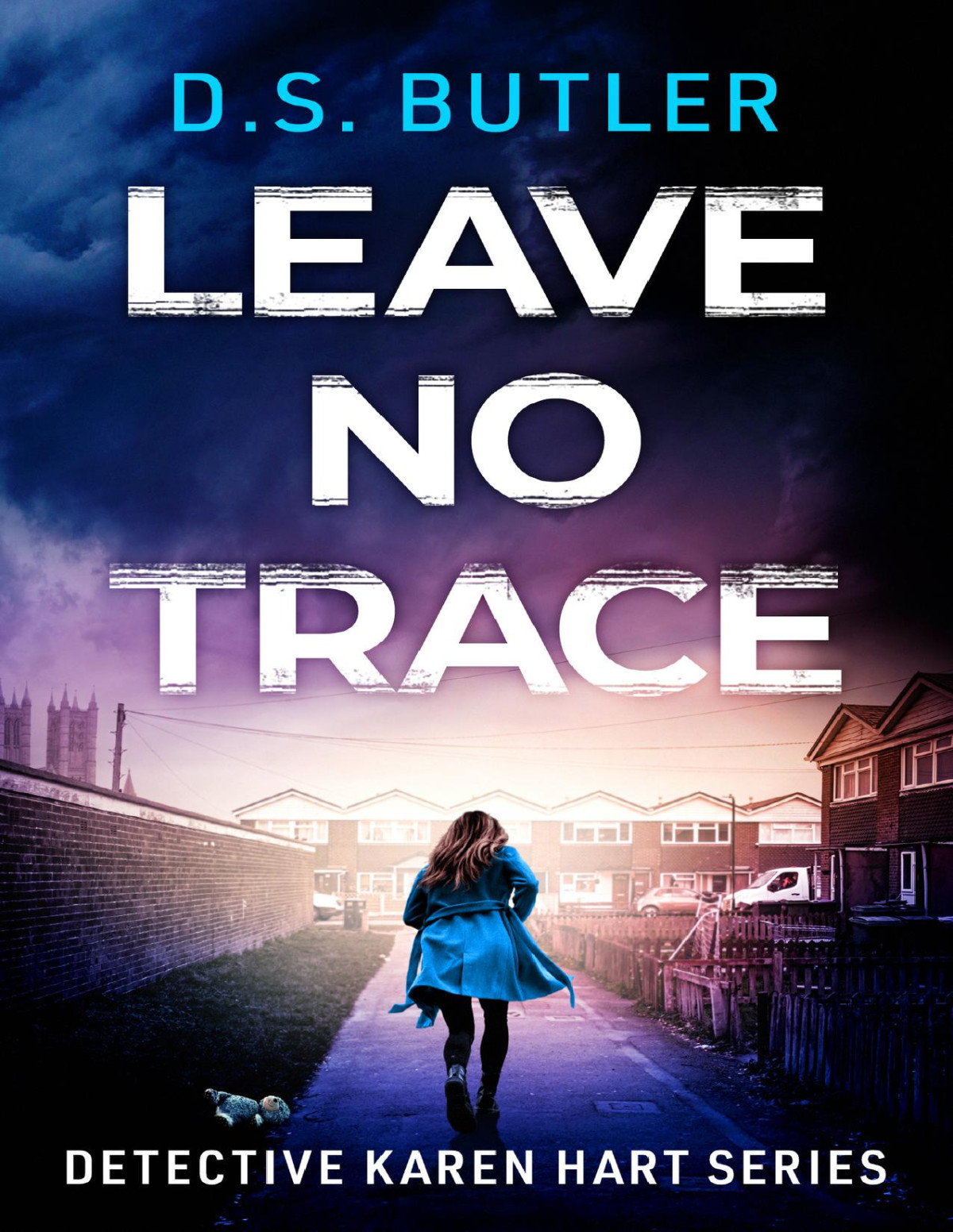 Leave No Trace Detective Karen Hart D S Butler