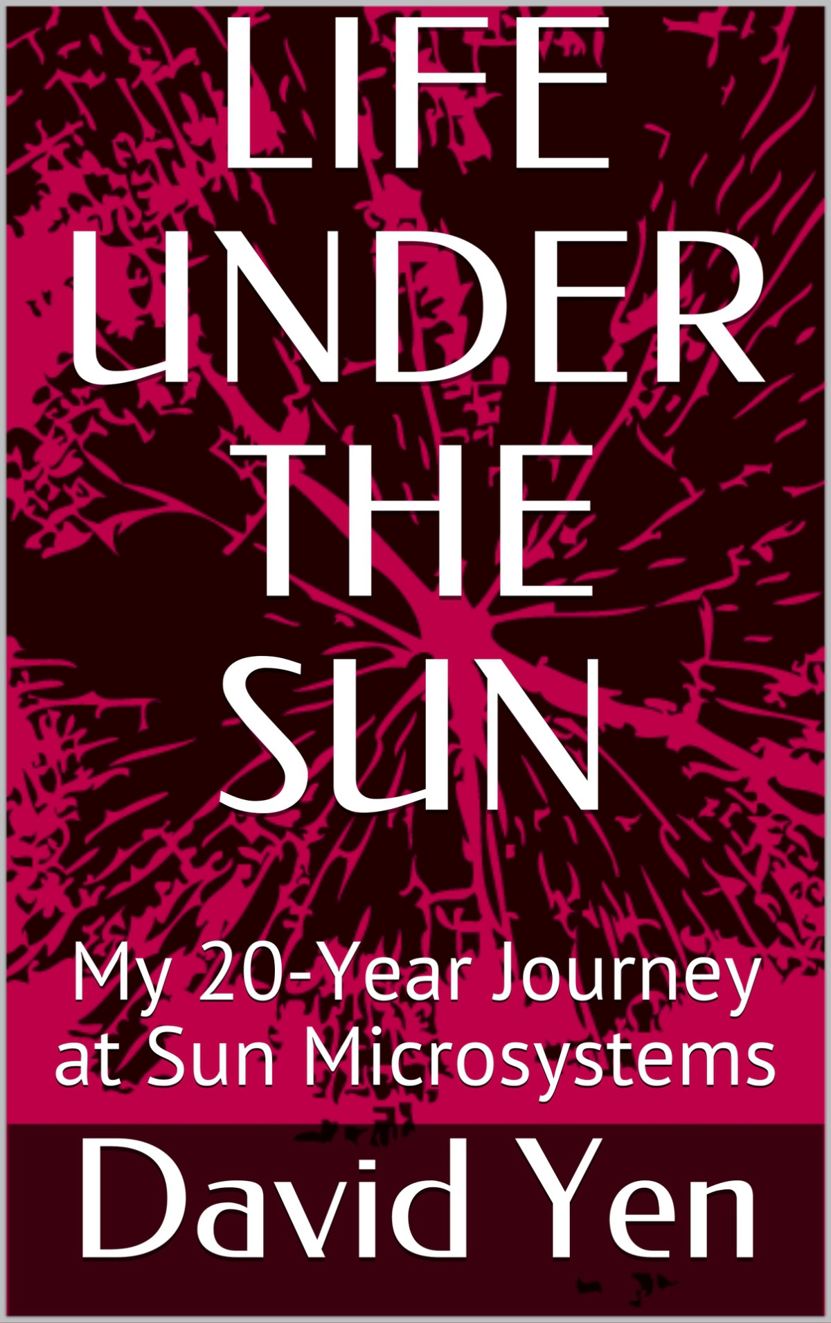 Life Under The Sun My 20year Journey At Sun Microsystems David Yen