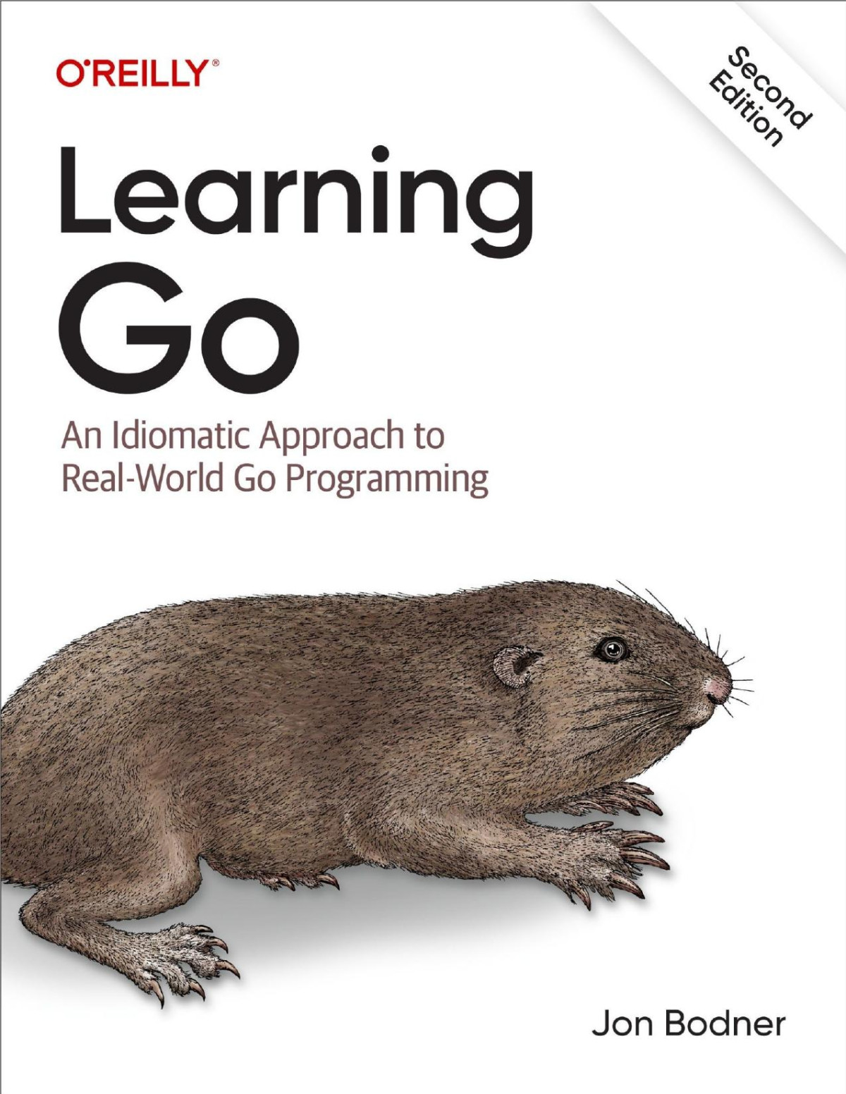Learning Go An Idiomatic Approach To Realworld Go Programming Converted Jon Bodner