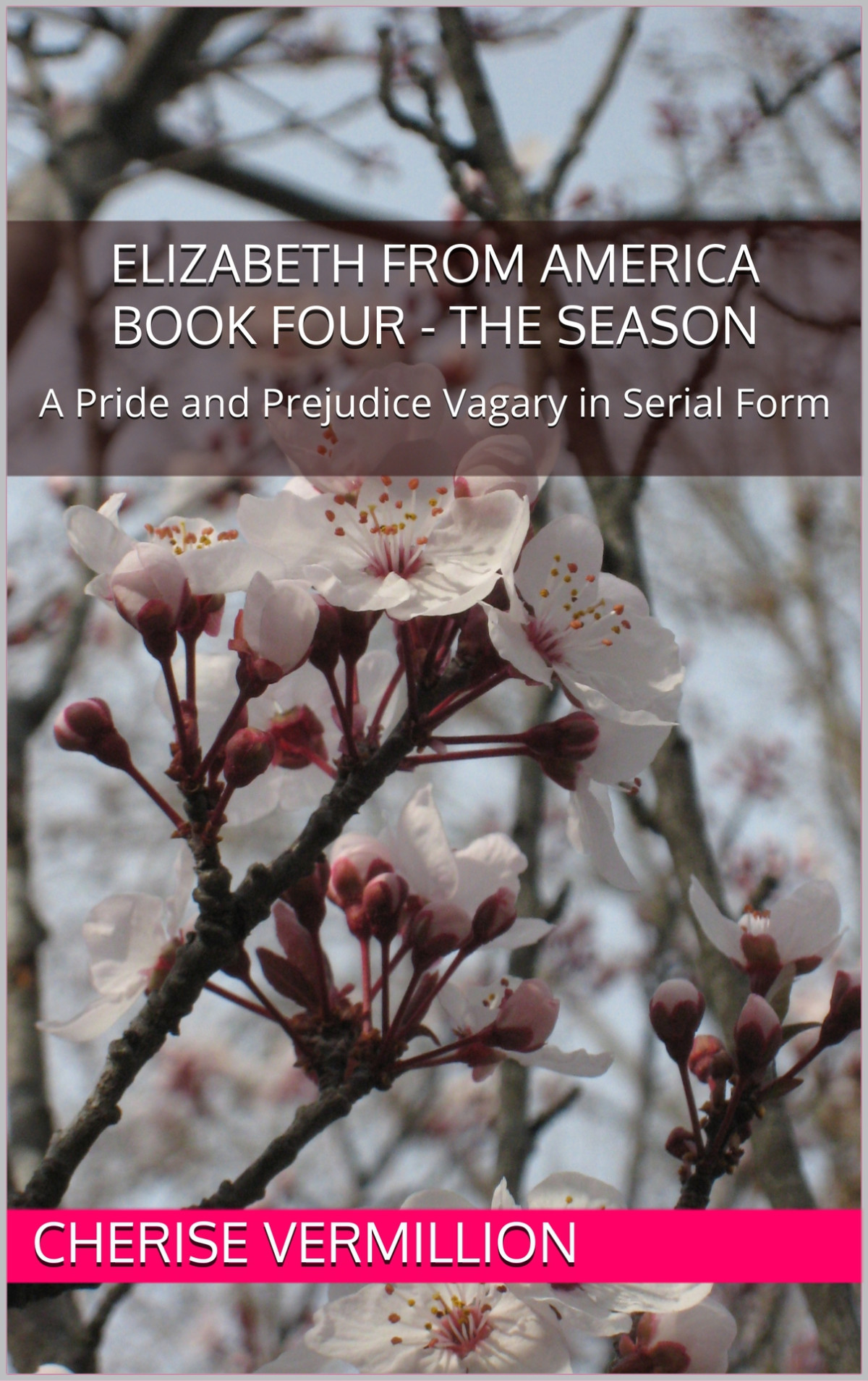 Elizabeth From America Book Four The Season A Pride And Prejudice Vagary In Serial Form Cherise Vermillion