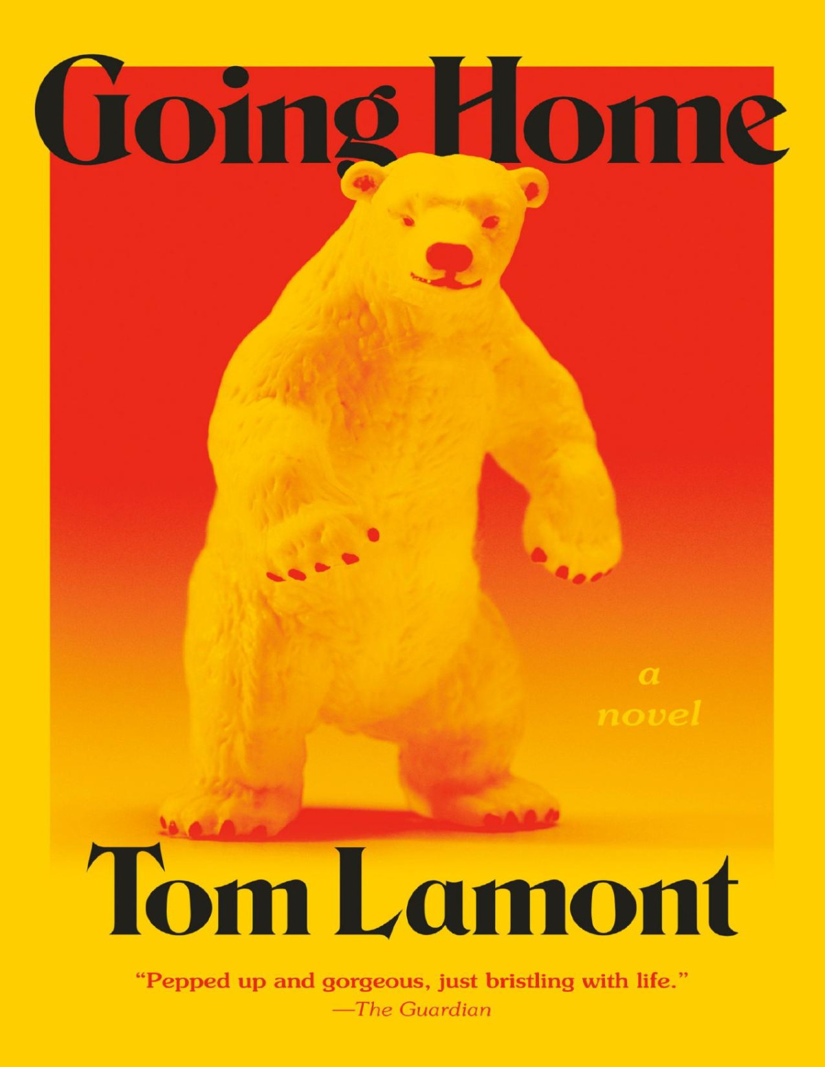 Going Home A Novel Tom Lamont