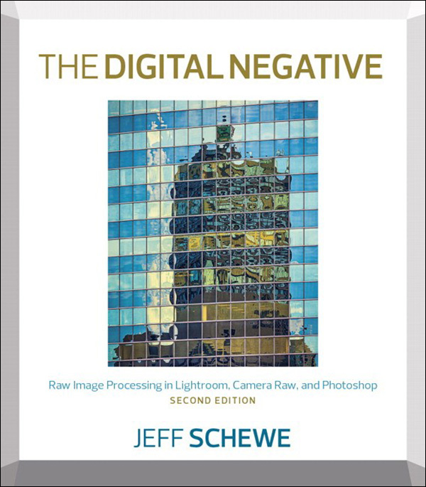 The Digital Negative Raw Image Processing In Lightroom Camera Raw And Photoshop Second Edition 2nd Edition Schewe