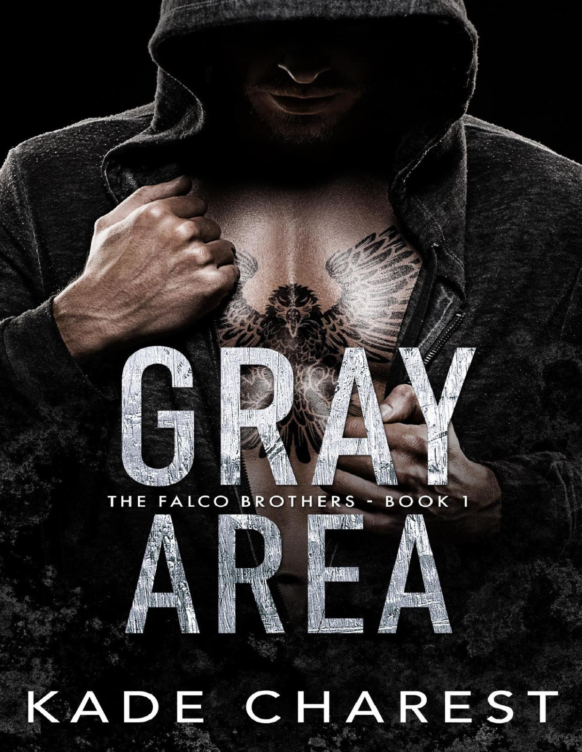 Gray Area The Falco Brothers Book 1 Kade Charest