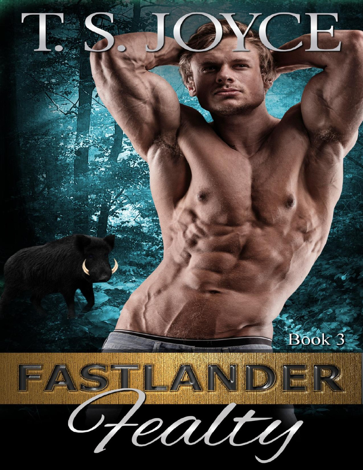 Fastlander Fealty T S Joyce