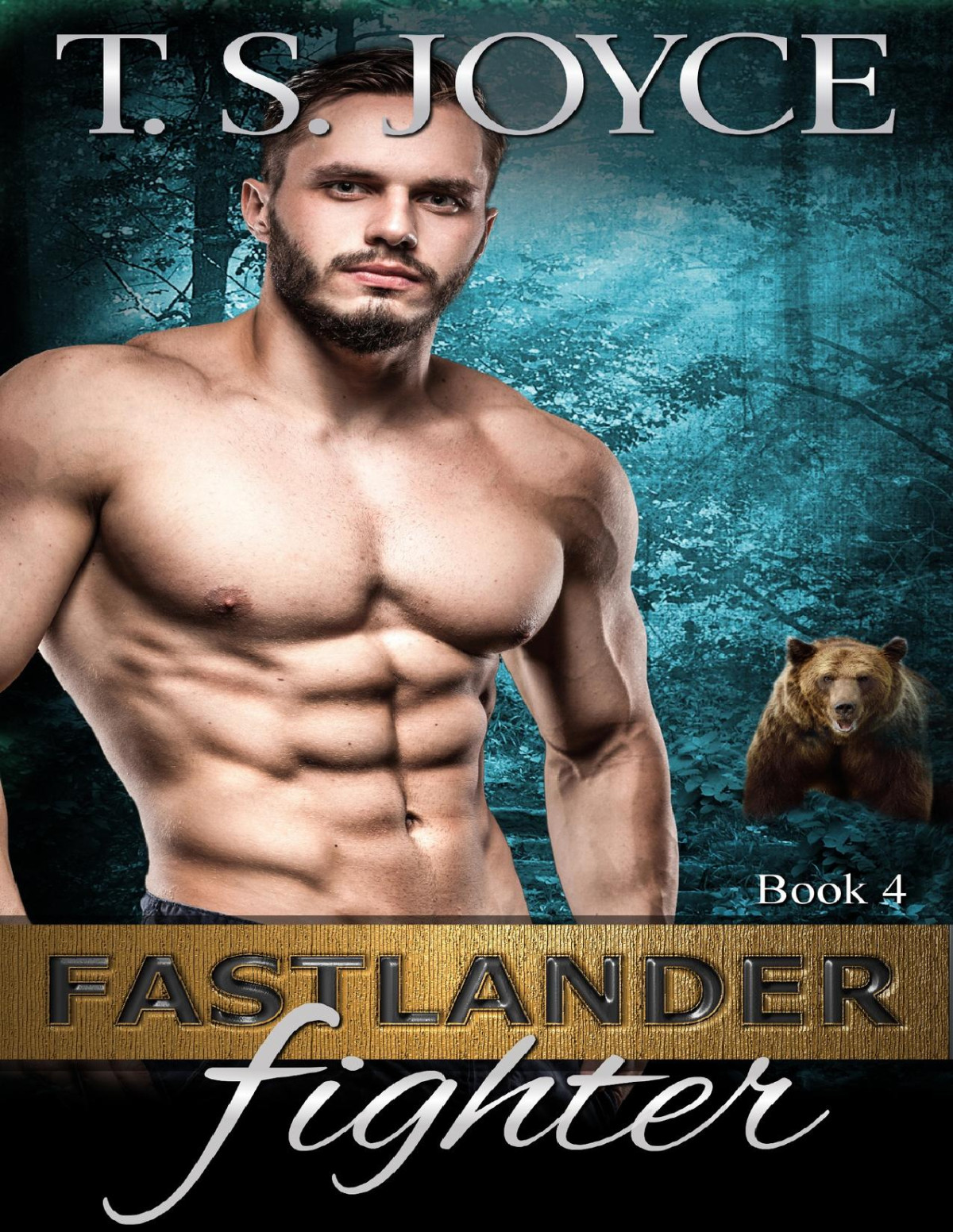 Fastlander Fighter T S Joyce