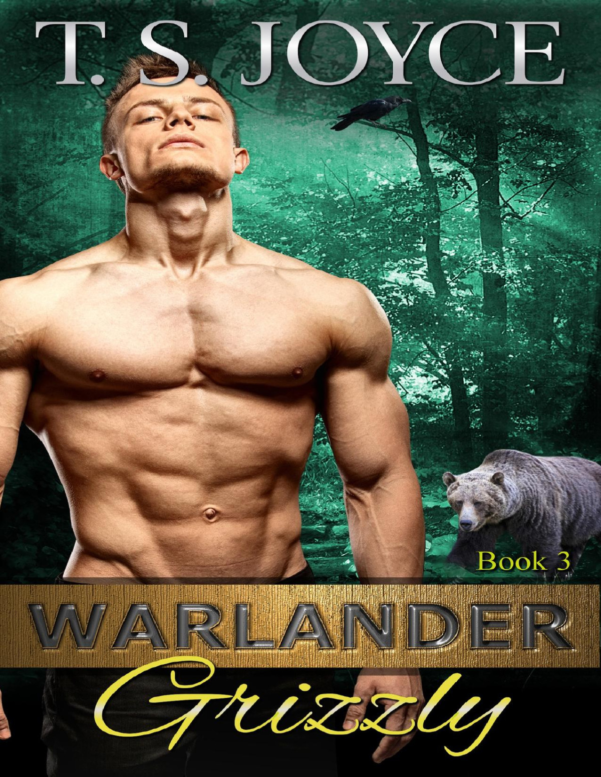 Warlander Grizzly T S Joyce