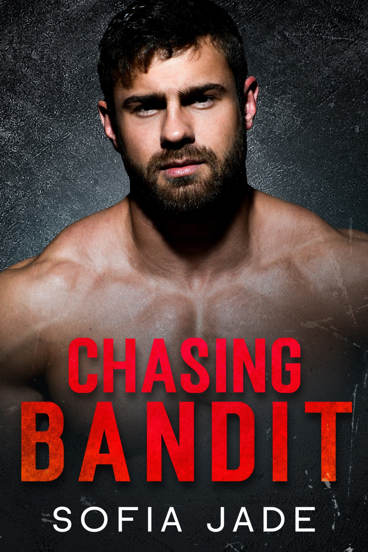 Chasing Bandit An Arranged Marriage Small Town Cowboy Romance The Cameron Cowboys Series Book 2 Sofia Jade