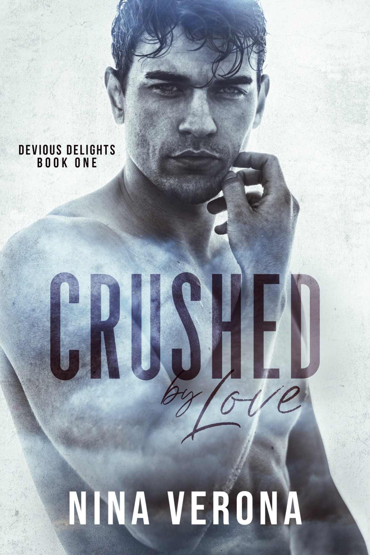 Crushed By Love Devious Delights Book One Nina Verona