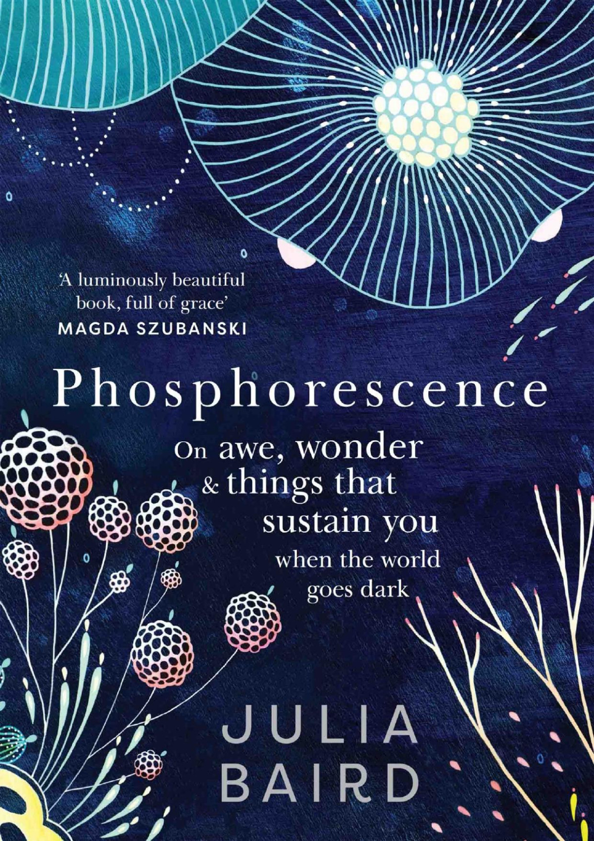 Phosphorescence Julia Baird