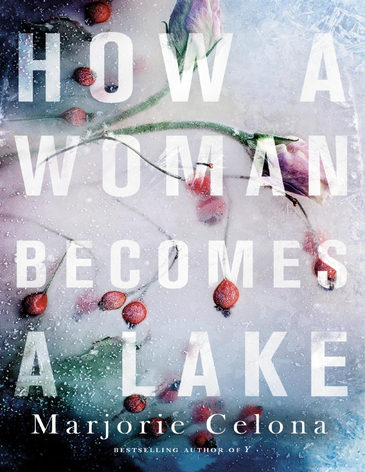 How A Woman Becomes A Lake Marjorie Celona