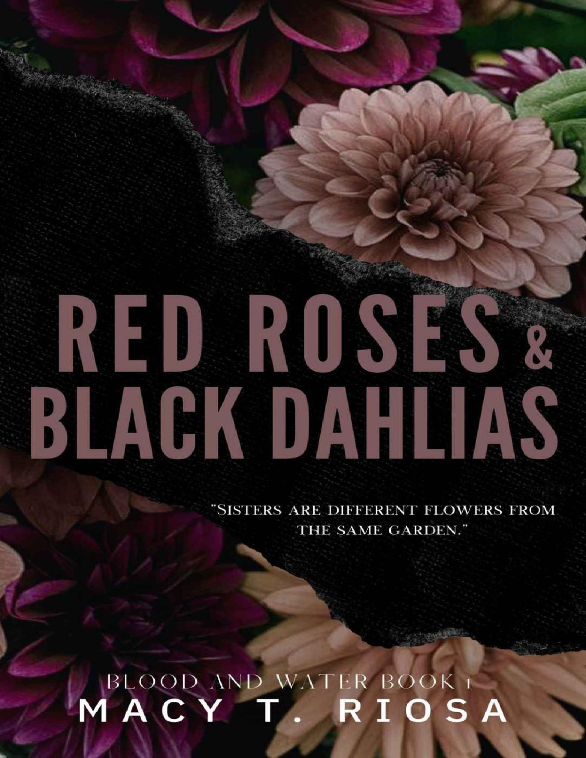Red Roses And Black Dahlias Macy T Riosa