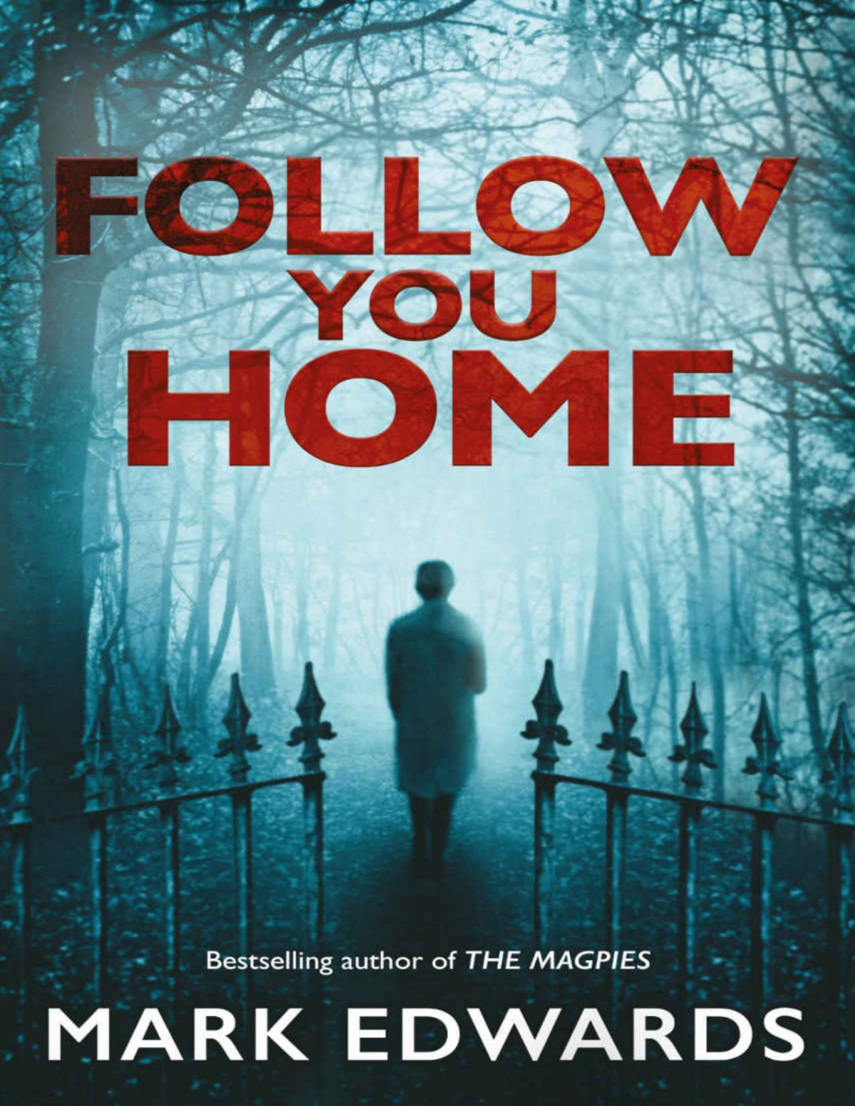 Follow You Home Mark Edwards