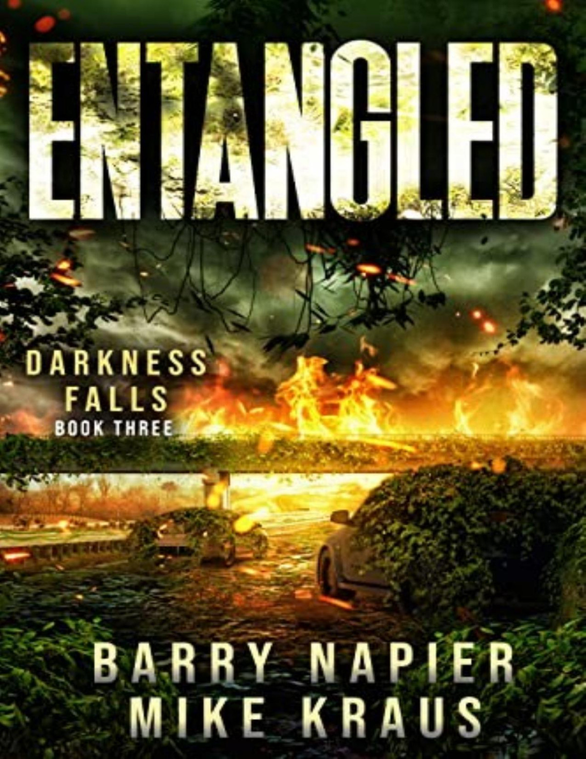 Darkness Falls 3 Entangled Barry Napier Mike Kraus