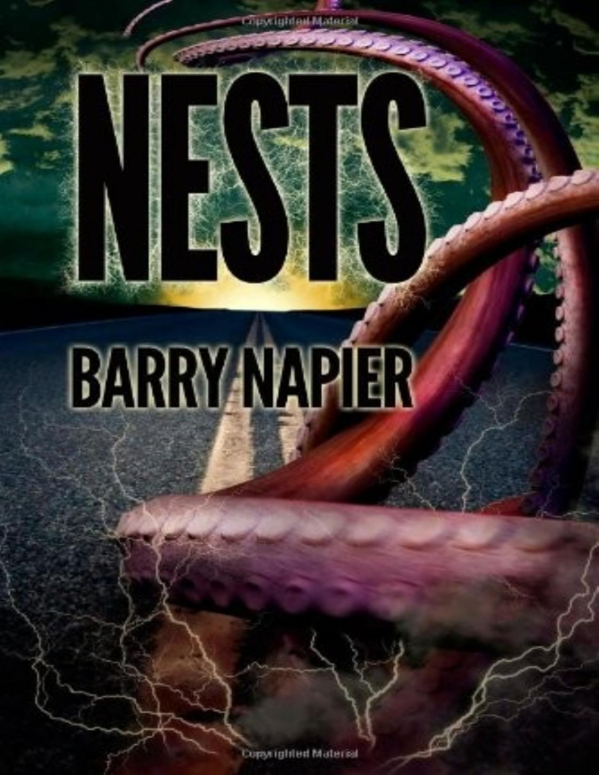 Nests A Post Apocalyptic Thriller Barry Napier