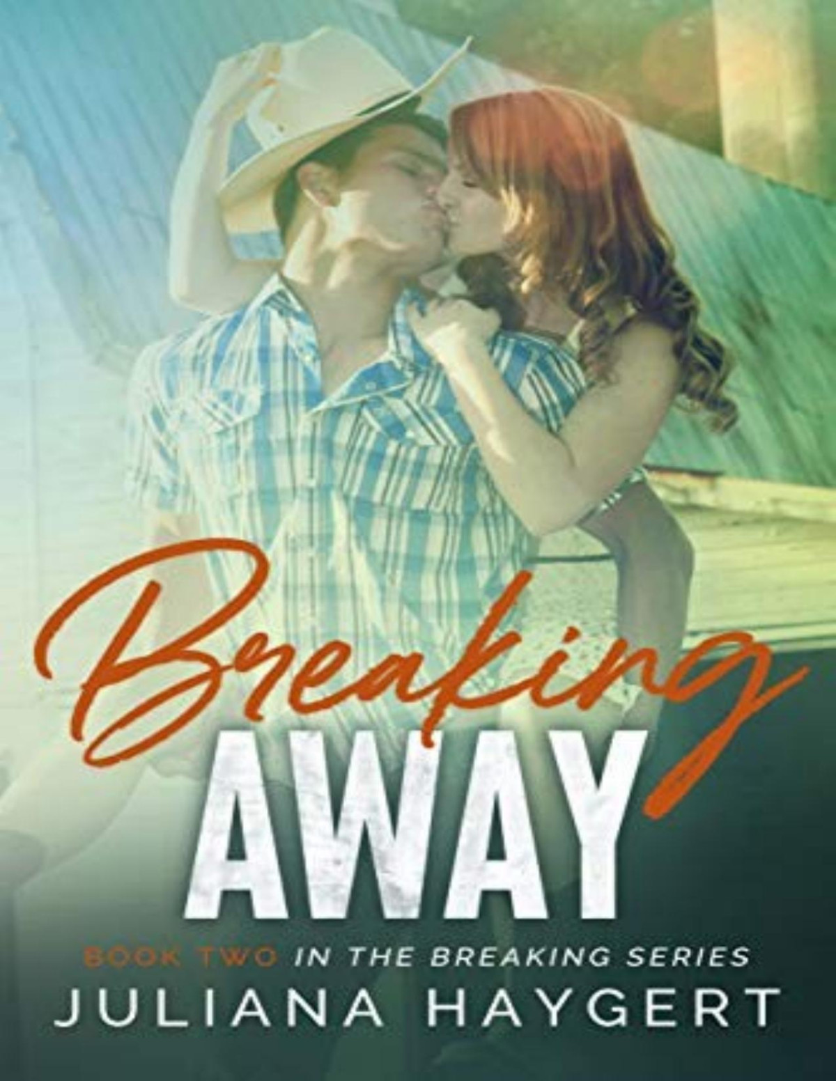 Breaking 2 Breaking Fences Breaking Away Juliana Haygert