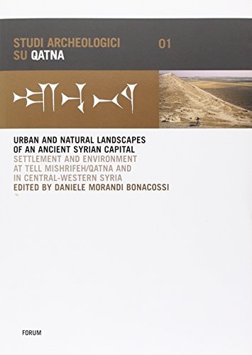 Micromorphological Analyses Of The Soil From The Royal Tomb Of Qatna 1st Edition Christine Pmpin