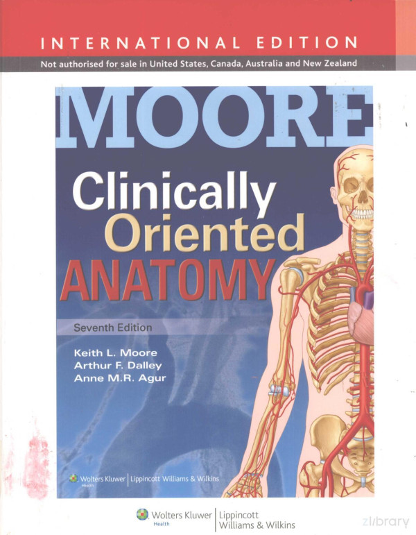 Clinically Oriented Anatomy Seventh Edition 2014th Edition Keith Lmoore