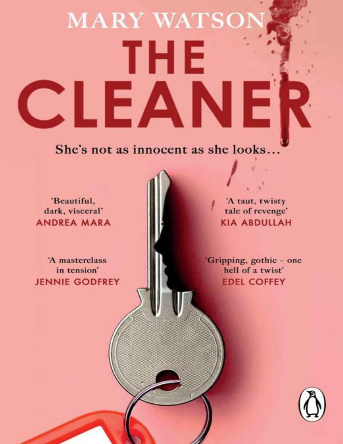 The Cleaner Mary Watson