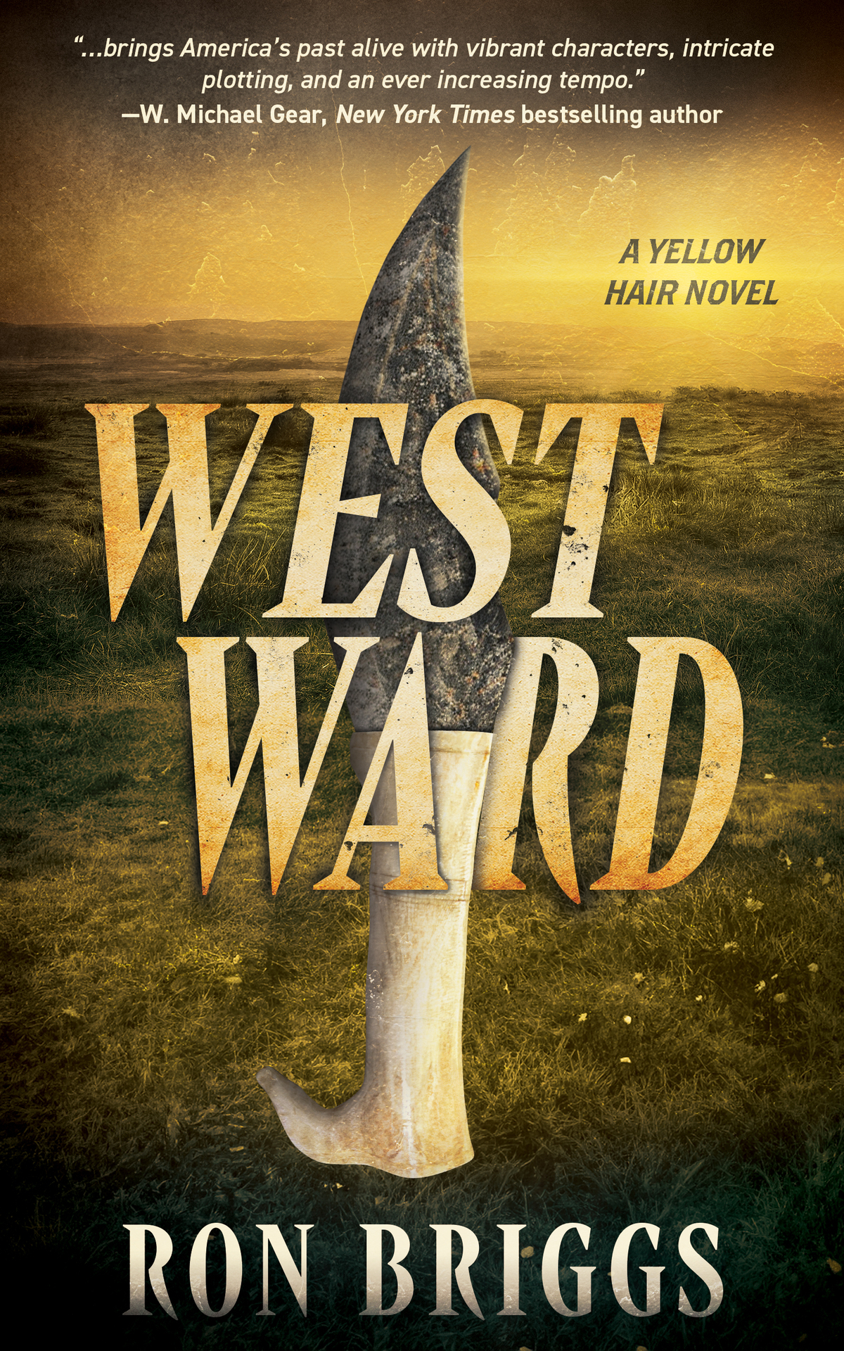 Westward A Norse Warrior Exploration Series Yellow Hair Book 4 Briggs