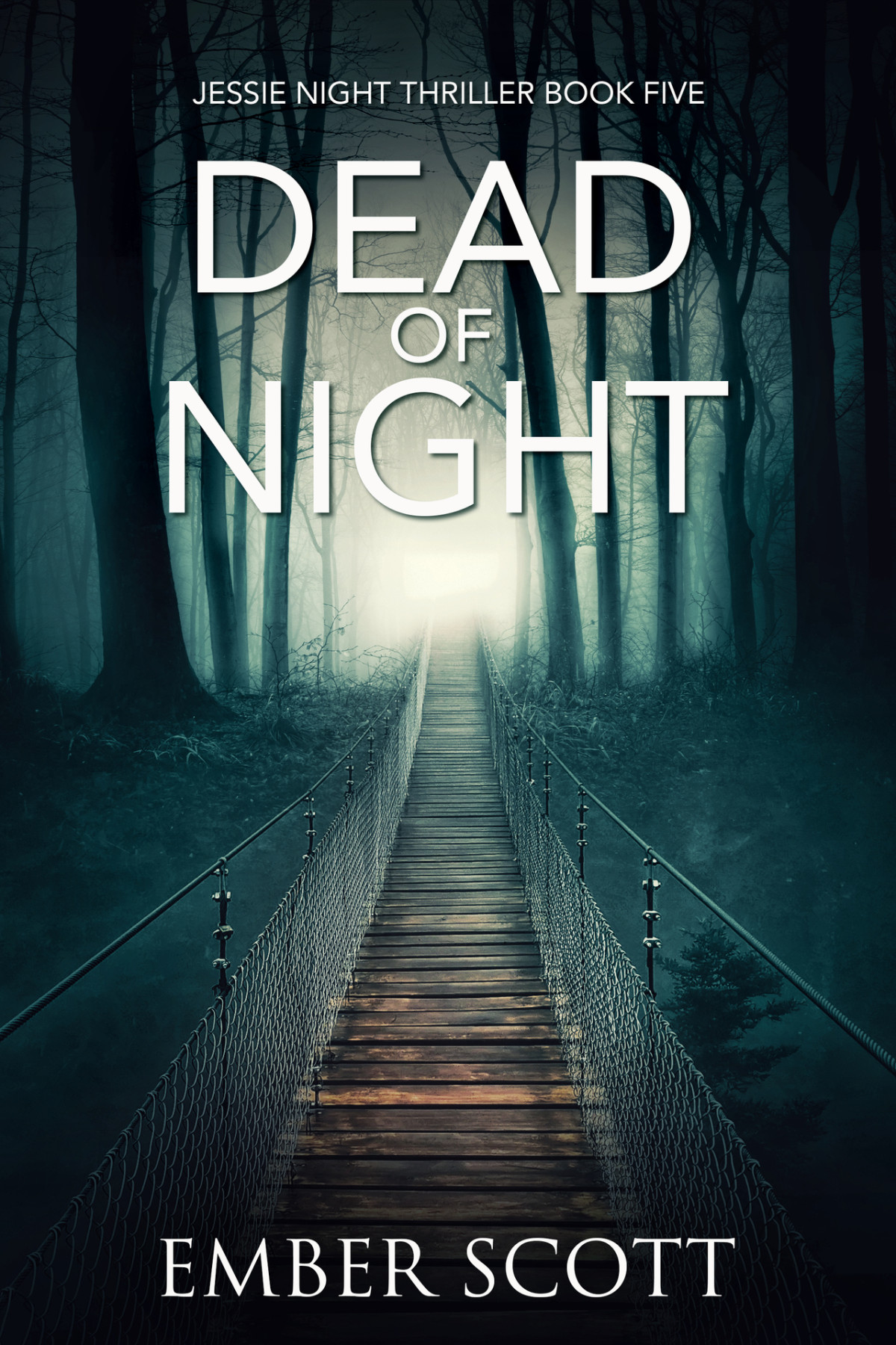 Dead Of Night Jessie Night Thriller Book Five Ember Scott