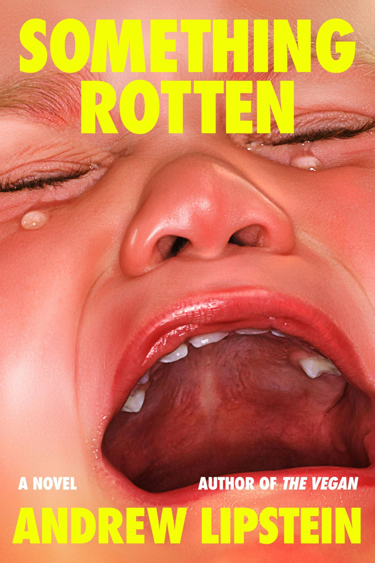 Something Rotten 1st Edition Andrew Lipstein