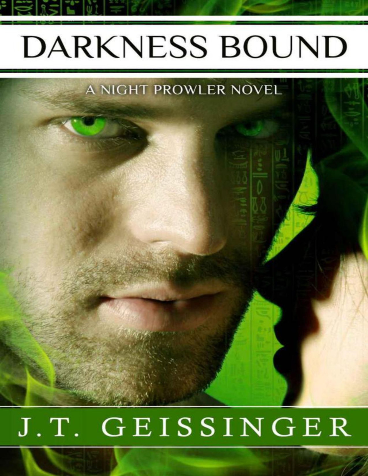 Darkness Bound A Night Prowler Novel Jt Geissinger