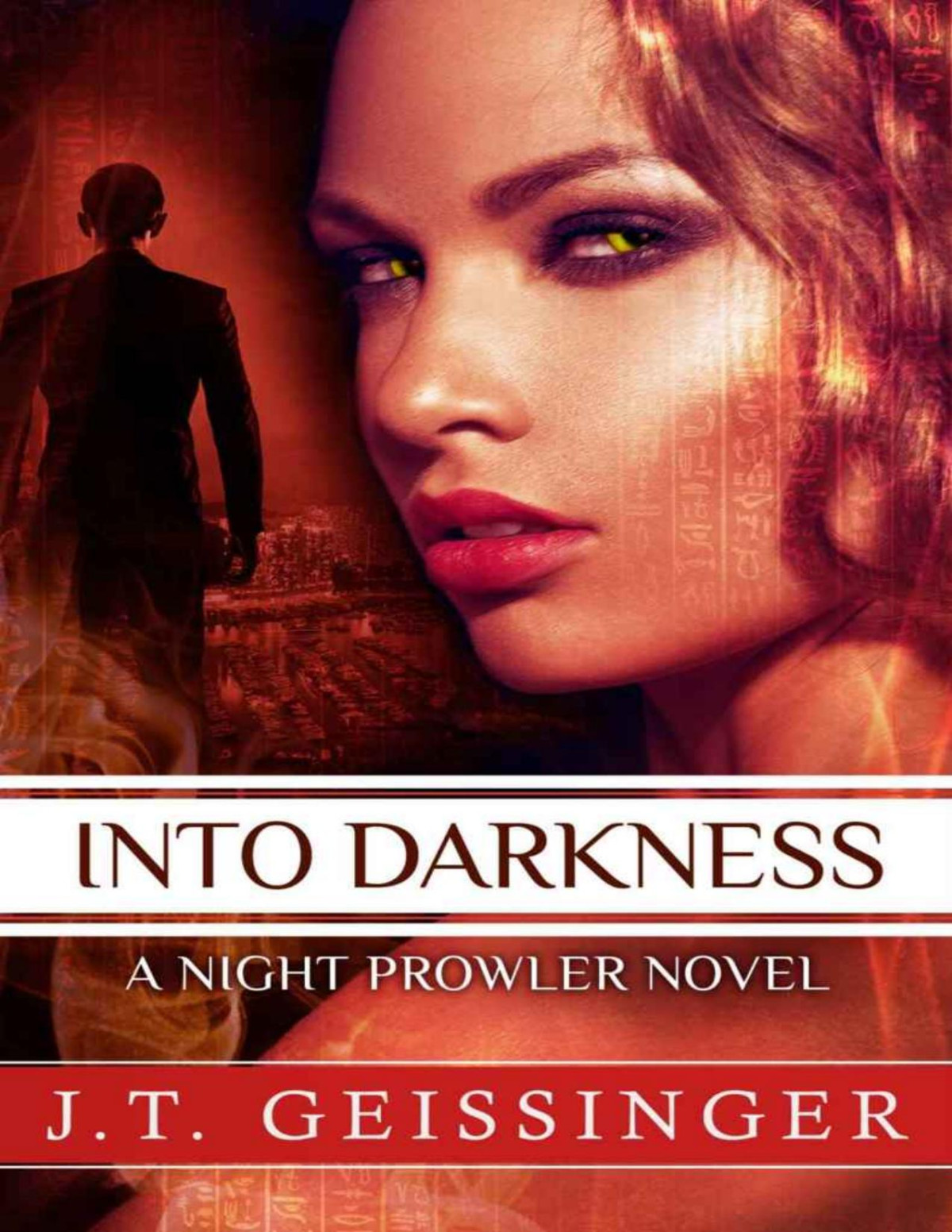 Into Darkness A Night Prowler Novel Jt Geissinger