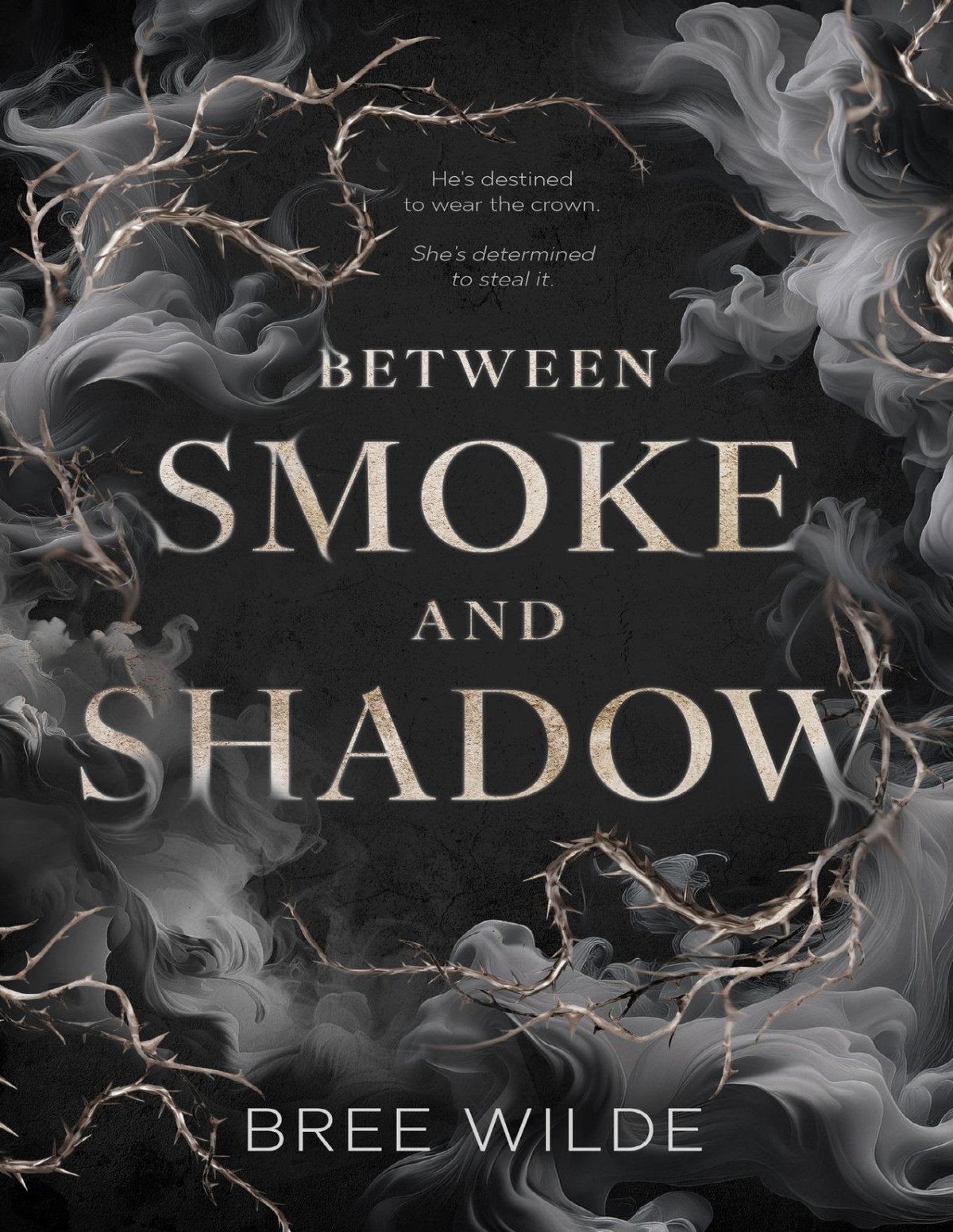 Between Smoke And Shadow A Forbidden Love Romantasy Bree Wilde