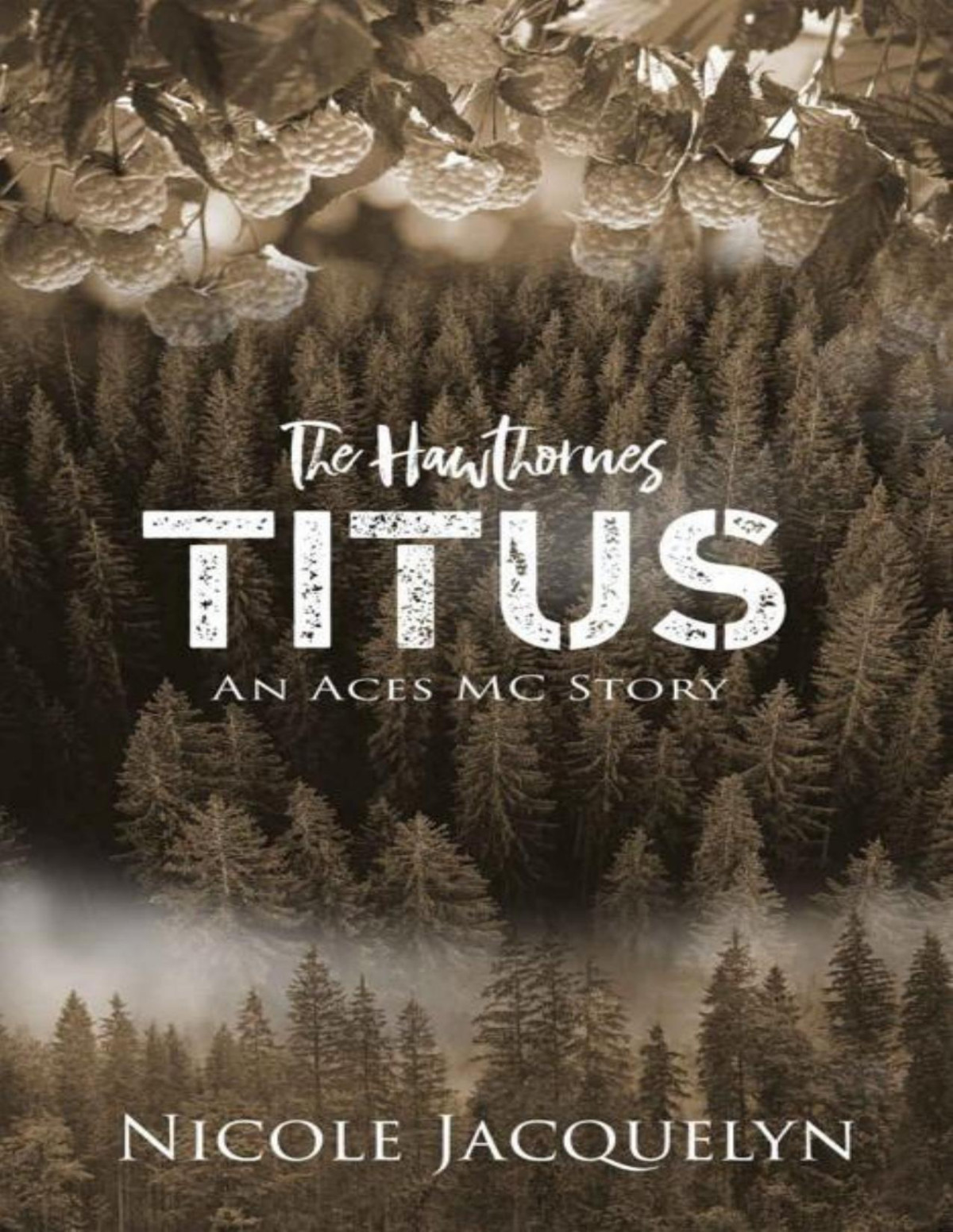 Titus The Hawthornes The Aces Sons Book 12 Nicole Jacquelyn