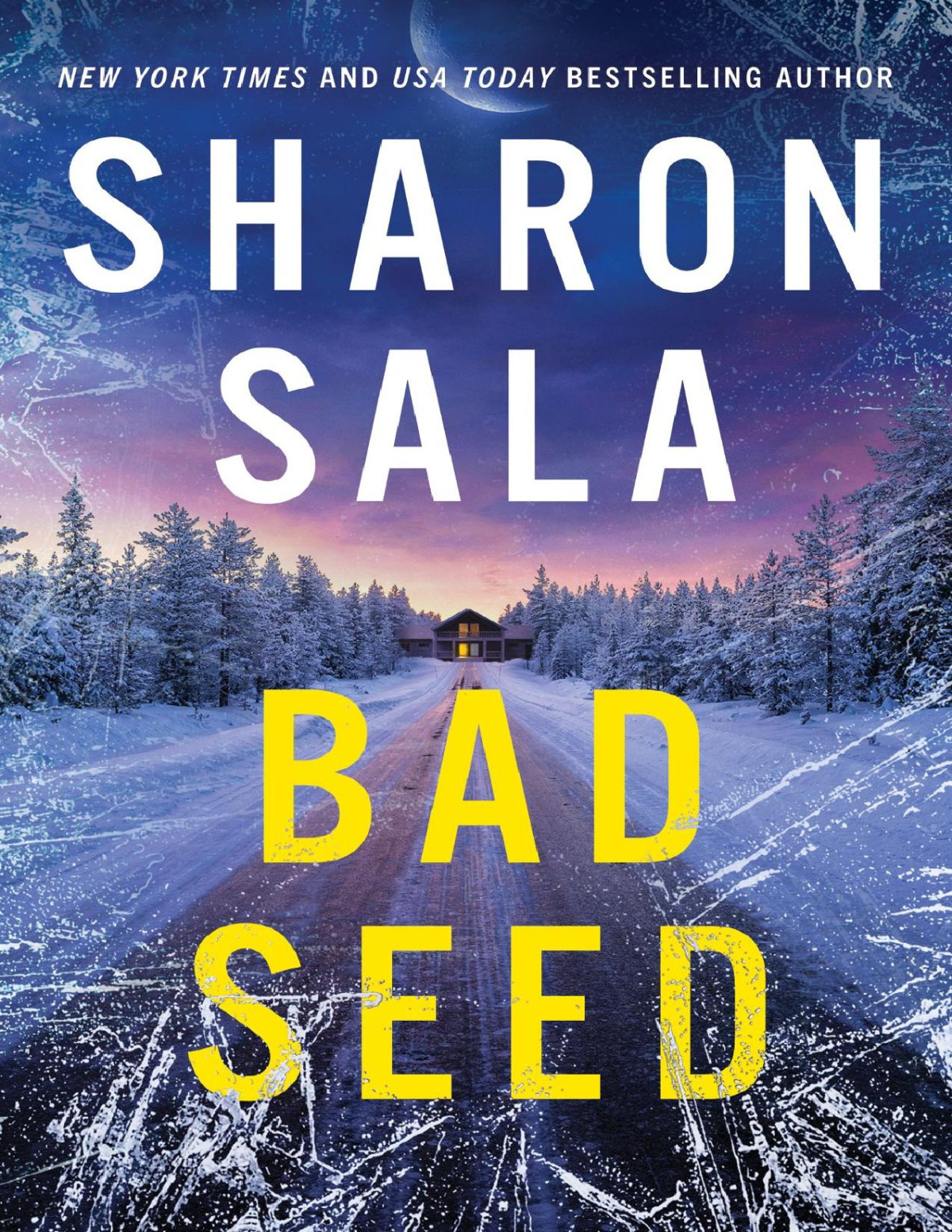 Bad Seed Sharon Sala